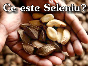 ce este seleniu
